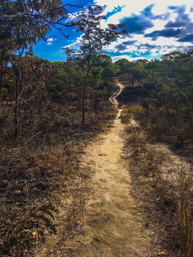 MisLenga's tweet photo. Afternoons are meant for hiking.. 🍃 #TravelZambia #Travel #UnikueModa https://t.co/d2xLSzDjuK