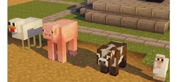 Memesminecraft4's tweet photo. Professor: a prova não está confusa
A prova: https://t.co/nkxo8Mbr9P