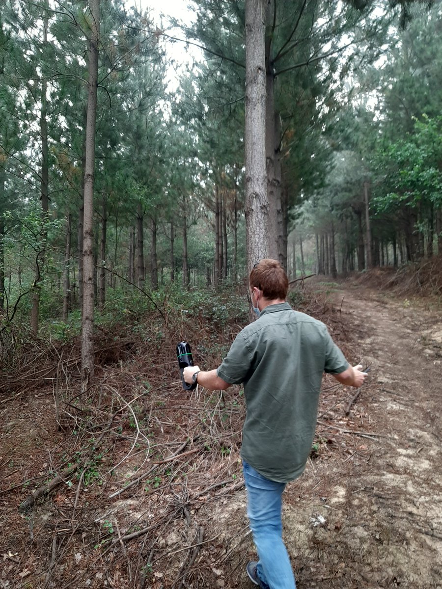 hazifundazioa's tweet photo. Trabajos de cálculo con láser de mano #leica la defoliación de pinares tratados con diversos productos fungicidas.
👉Poyecto #innobandas: https://t.co/7lYUUL2kAK
#forestal #forest https://t.co/IXMzRfMwdZ