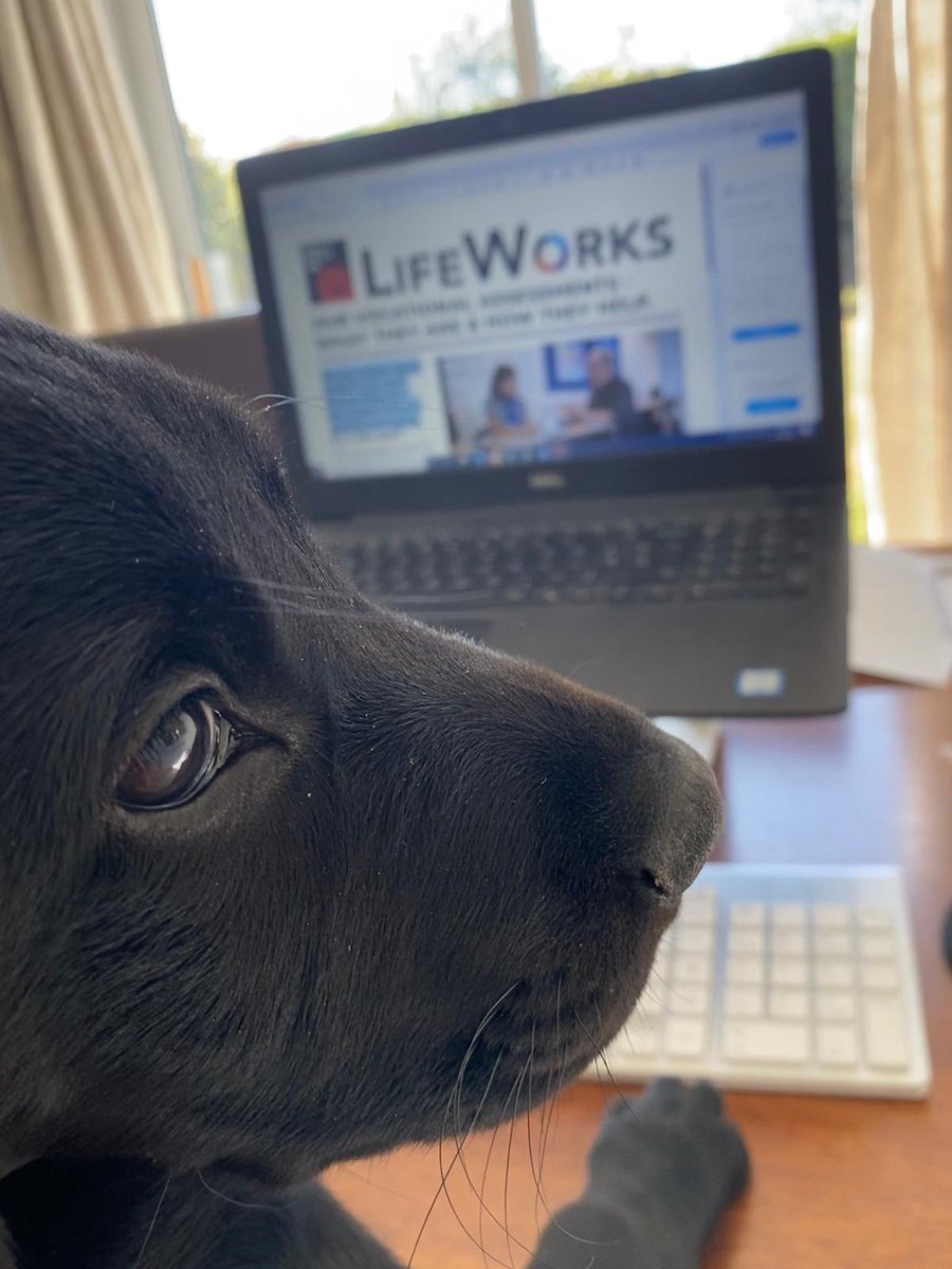 LifeworksS's tweet image. My LifeWorks engagement assistant, Buddy is enjoying reading our latest blog about the career coaching support we can provide at LifeWorks. Take a read here 👇

wearelifeworks.org.uk/news_articles/…
