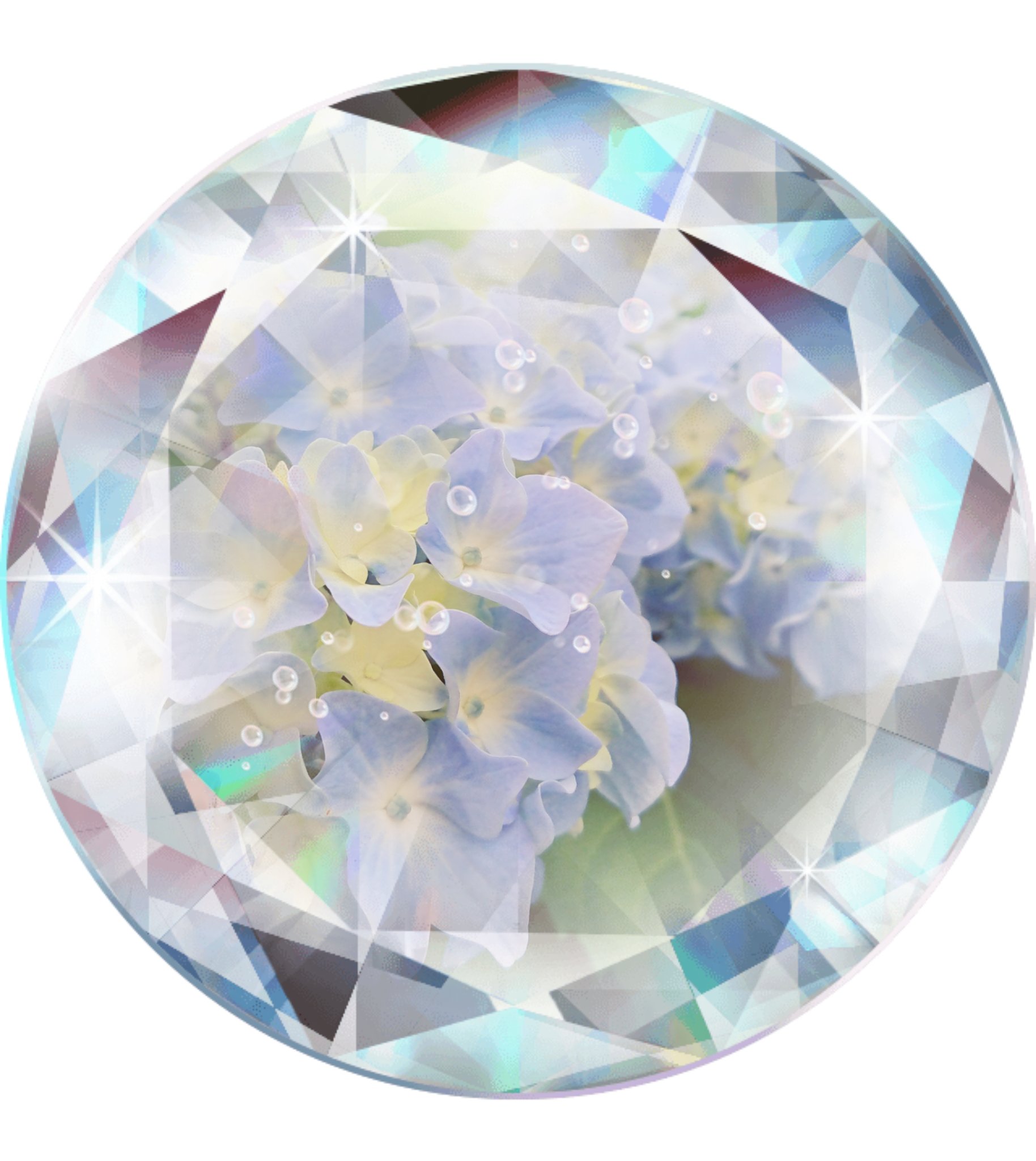 ａ狼 あろう 兼チャップ そういあ 夏らしいアイコンにしたくて自宅で咲いた紫陽花でアイコン作りました 花火と迷ったけど 紫陽花の方が綺麗じゃんね T Co Jv1cyzr3pq Twitter