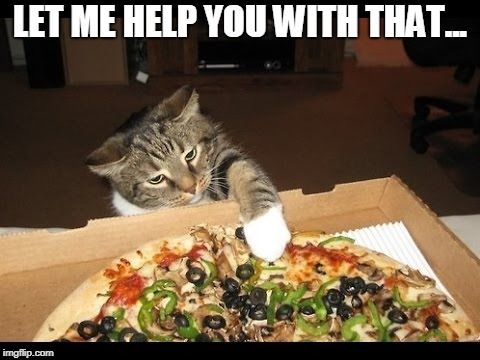 spizzamn's tweet photo. Don't risk Calico thieves stealing your happiness...stop in to Rosatis and get yourself a Jumbo Slice, Salad and a Pop for $6.99!  #pizza #lunchspecial #cats #pizzaequalshappiness #RosatisMapleGrove https://t.co/8johL5L2LV