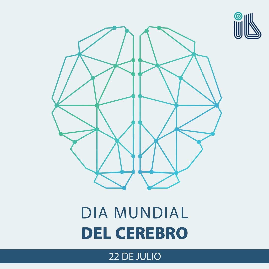 inbicu's tweet photo. Desde el año 2014, cada 22 de julio se celebra el Día Mundial del Cerebro por iniciativa de la Federación Mundial de Neurología (WFN) con el objetivo de promover la salud cerebral. 
Este año el lema es "Juntos para acabar con la enfermedad de Parkinson”
#diaMundialdelCerebro https://t.co/x9pdBBpKAw