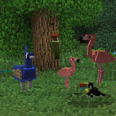 MCPEBeta_info's tweet image. RETWEET if you'd like to see more Exotic Birds added in #Minecraft!