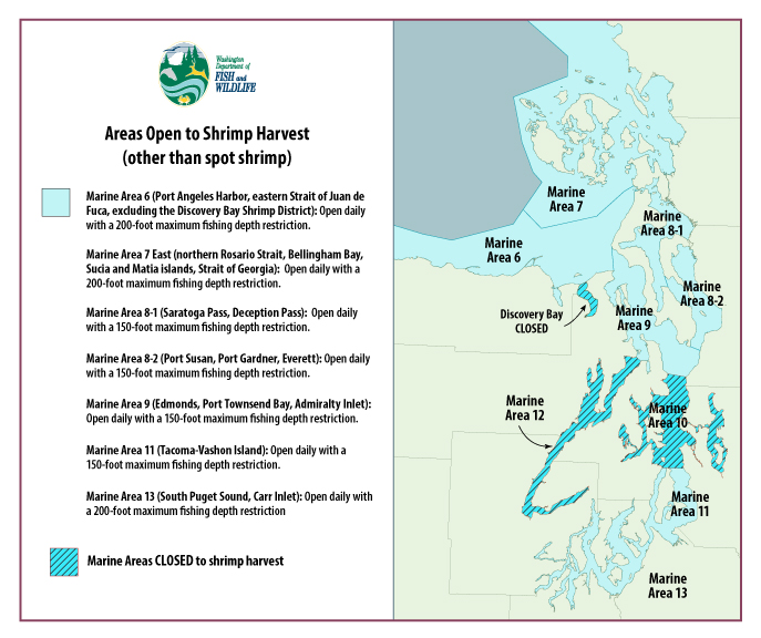Puget Sound Shrimp Maps Wdfw On Twitter: "Hood Canal Spot Shrimp Will Not Reopen July 28 After Five  Days Of Great Shrimp Fishing, But Many Opportunities For Shrimping Beyond  Spot Shrimp Remain. Please Check Our News