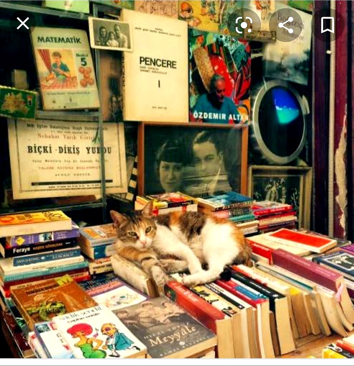 Eskiden simurg kitap evi vardı. içinde  kedi vardı . Kedinin  altında kitaplar  vardı. Belki hala aynı  yerde  ama  ben aynı yerde değilim 😪