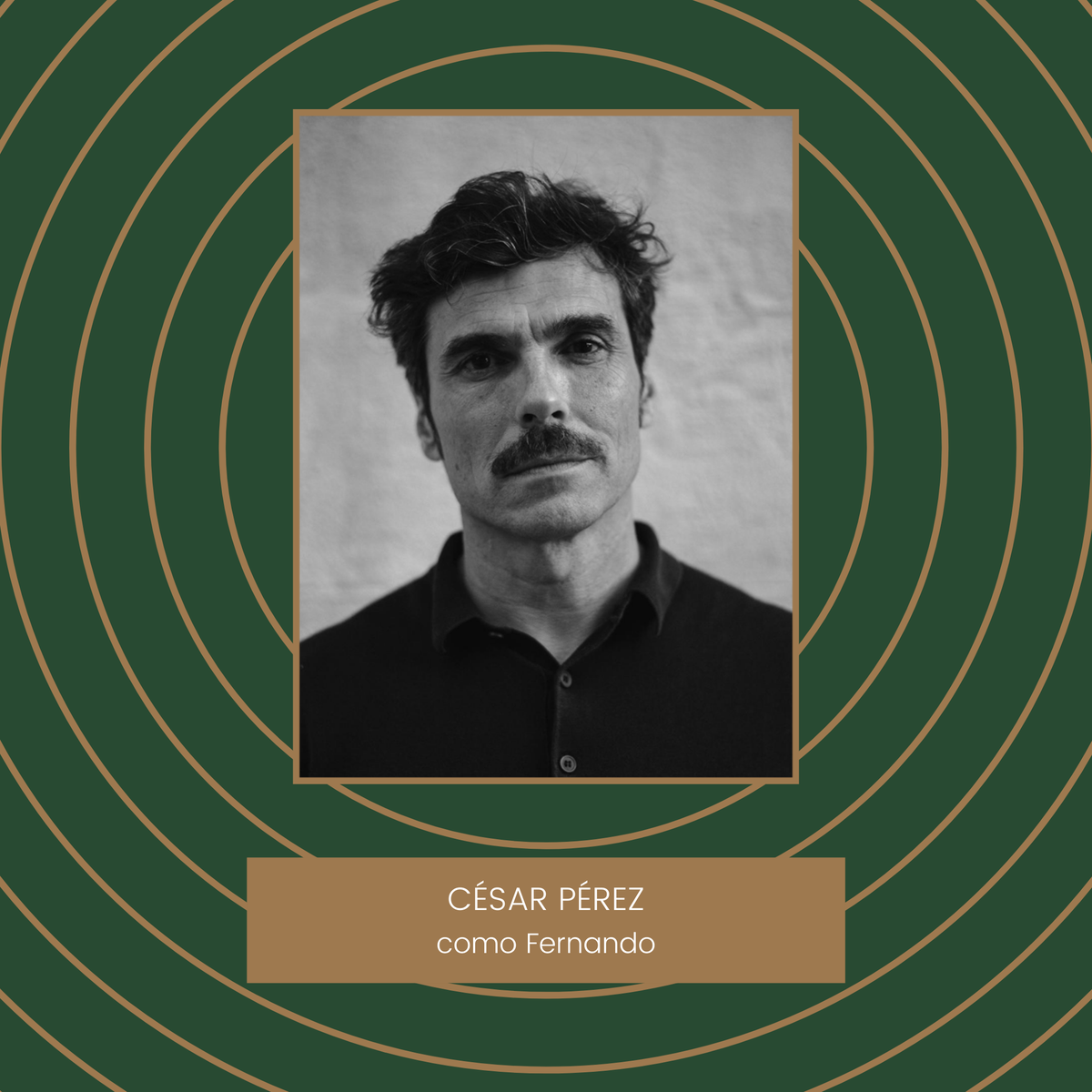 ElToca_discos's tweet photo. Hoy os traemos a nuestro actor César Pérez, que dará vida a Fernando en "El Tocadiscos". En nuestra página web (link en bio) podéis descubrir en qué proyectos ha participado y conocer más sobre él a través de sus redes sociales 🧐 #ElTocadiscos #conócenos #MeetOurTeam https://t.co/zFTR67Qy8w