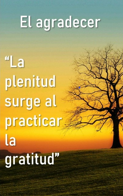 pan_noti's tweet photo. Buenas tardes a todos! Hoy les comparto algo que deberíamos tener en cuenta mas a menudo. 😌☮️ https://t.co/MhpsgBMYW2