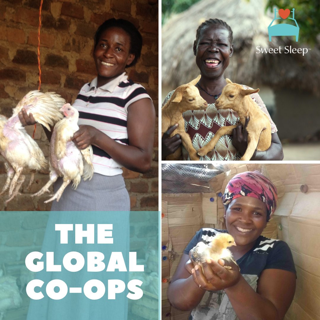 SweetSleep's tweet photo. Meet some of the smiling faces behind our CO•OPs. These sustainable businesses provide women with community, security, and hope! Some of the most popular businesses are pig farms, goat rearing, sewing, and soap making. When you support Sweet Sleep, you change a life! https://t.co/FscHh1H5e1