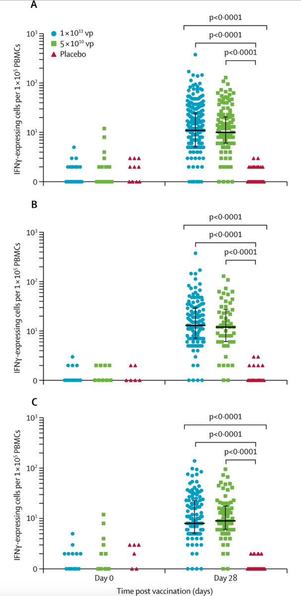 mmw_lmw's tweet photo. #Phase2_Trial | #Immunogenicity and #Safety | adenovirus type-5-vectored #COVID19_Vaccine in healthy adults | a randomised, double-blind, placebo-controlled | Wei Chen Institute of Biotechnology, Fengtai @TheLancet https://t.co/H1FLshwpZV https://t.co/IEqHwRJuvw