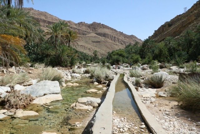 Rena Wiel tweet media