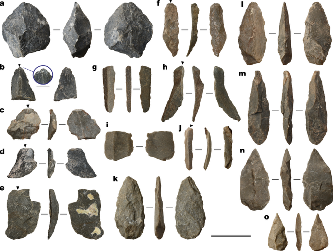 Selection of lithic artifacts from Chiquihuite Cave, from Ardelean et al. 2020 https://doi.org/10.1038/s41586-020-2509-0