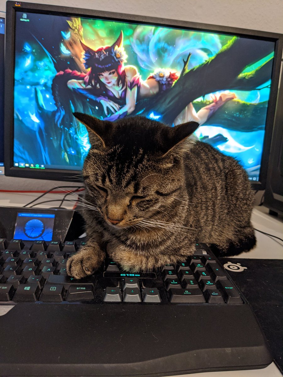 Dragon_Baum's tweet photo. @StellaChuuuuu My cat getting pet by ahri 🐱 https://t.co/mbeaRr6T4z