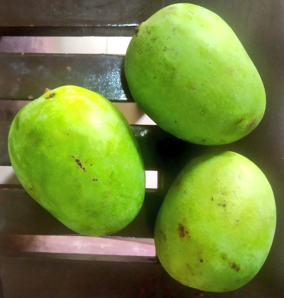 _AnsumanRath's tweet photo. Greetings to all mango-people on world #MangoDay 🍋the deserving, undisputed king of fruits. #MangoLove
(📷 #Langda -the crown prince among all varieties of mangoes). Essential #Trivia Ambani Ji is the world's largest exporter of mangoes. https://t.co/XjKcnJKgiK