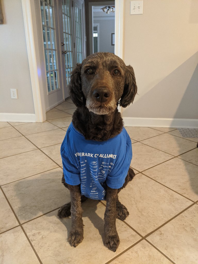 CyberArk tweet media