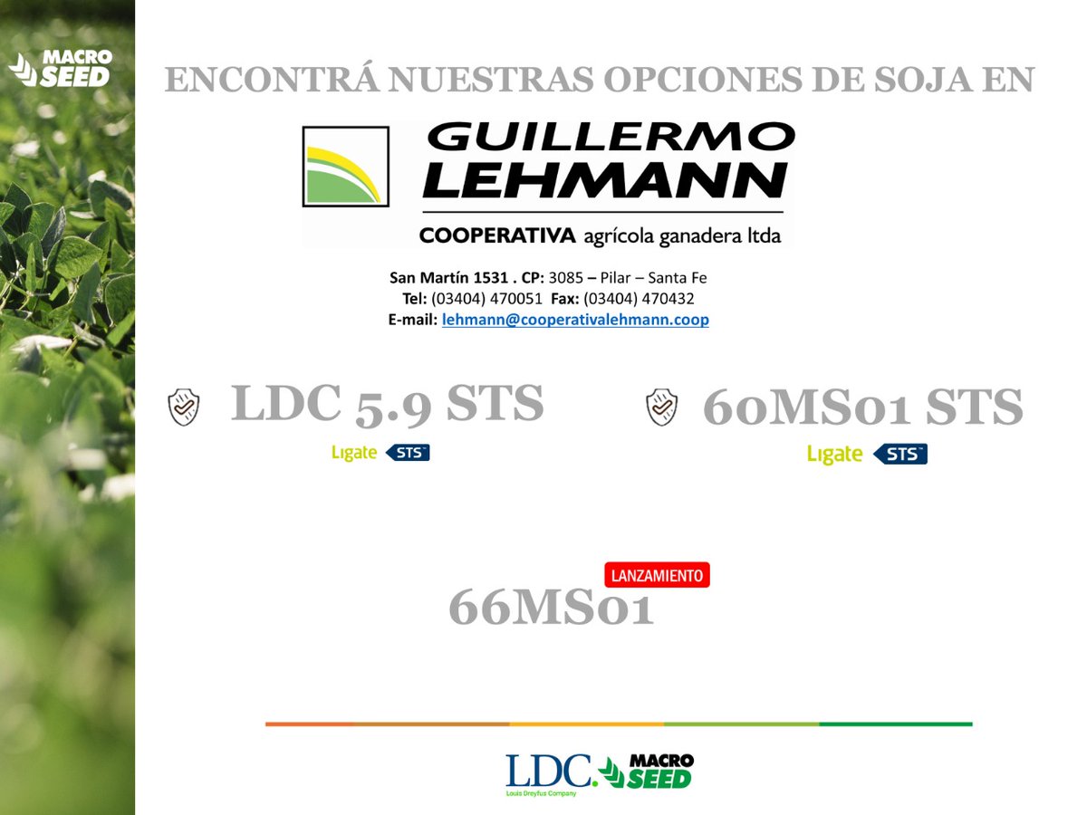 MacroSeed | LDC tweet media