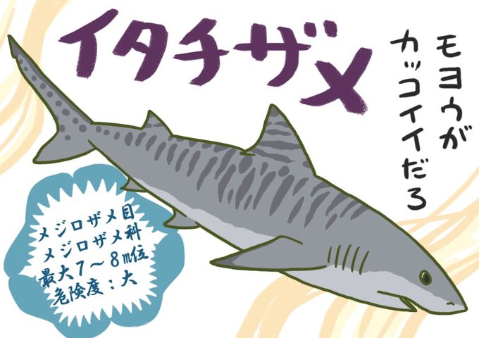 ネコザメのtwitterイラスト検索結果 古い順