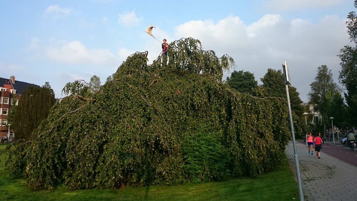 TeccpB's tweet image. Silence is no longer an option, a manifest for challenging play (AKA Risky play) by a playground inspector teccp.eu/acceptable-ris… #TECCP #riskyplay #challengingplay #playsafety #EN1176 #risicovolspelen #rechtopblauweplekken #goegespeeld  #springzaad