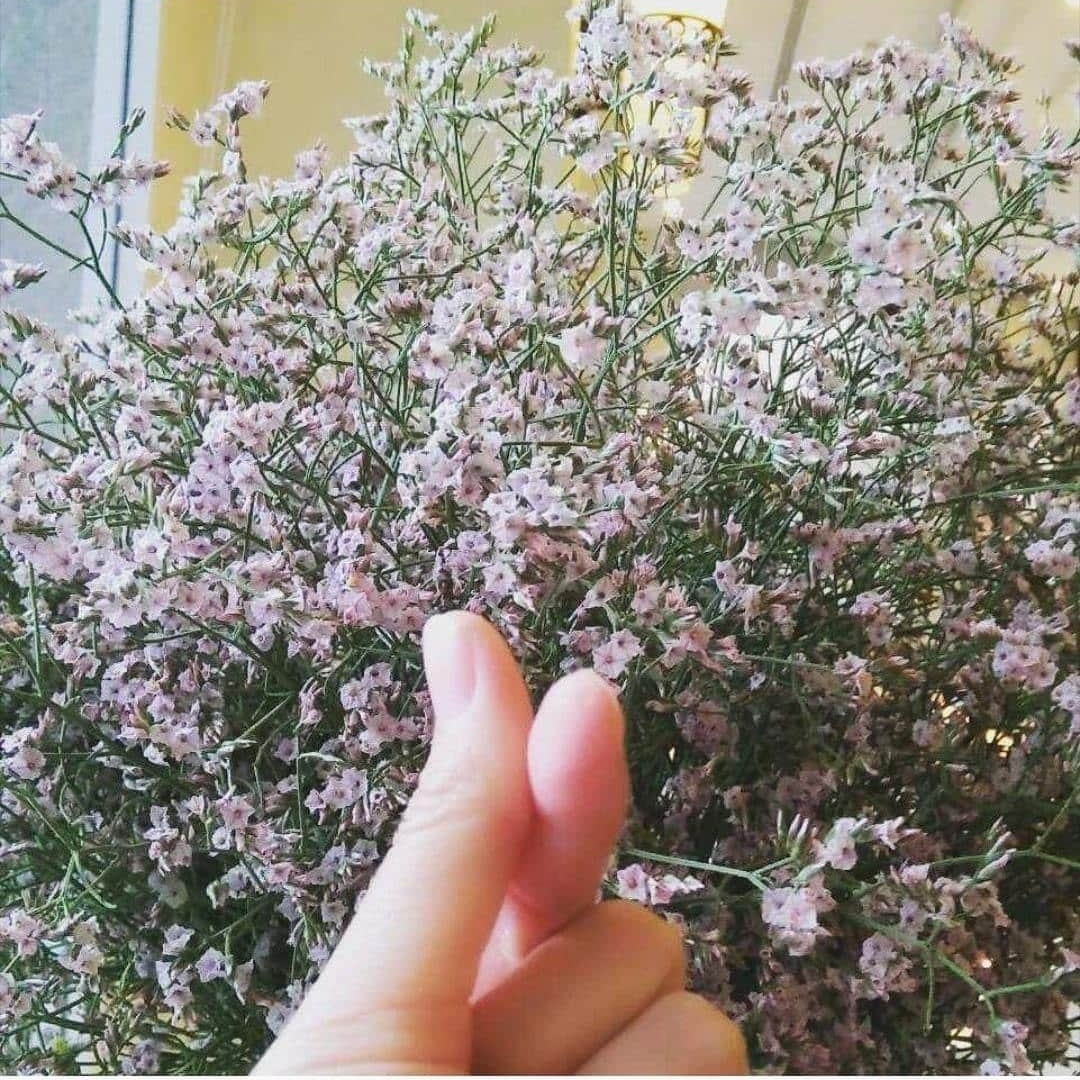 samagb23's tweet photo. #NewProfilePic https://t.co/XkgoCR20Jp
