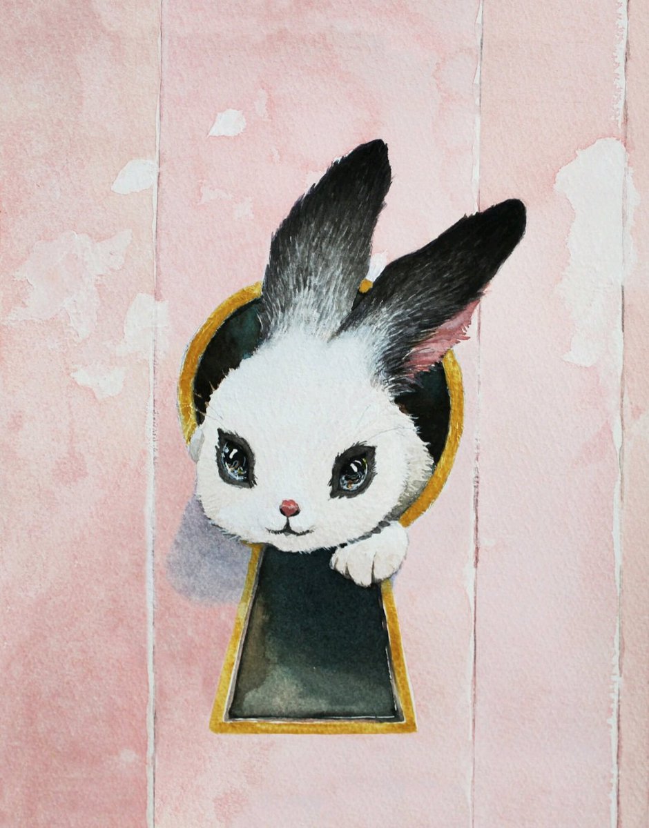 うさぎ の アリス うさぎ の アリス
