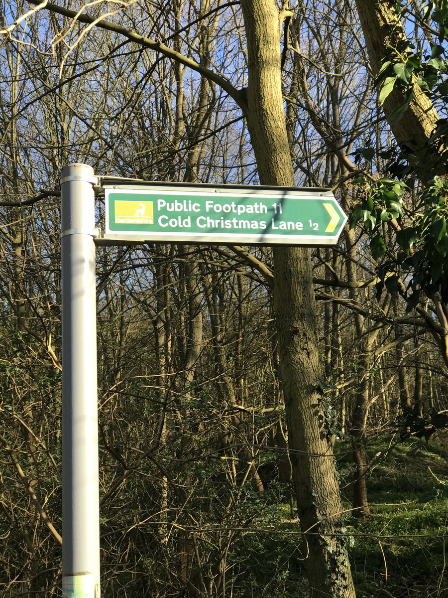 C_Logs's tweet photo. There is so much for all to see & learn about trees in our woodlands so why not try some bug hunting along one of the many #footpaths #nature @WoodlandTrust @OakbankWoodland @ForestryEngland #countrysidelearning @CountryClassrm @NFUCountryside #earlyyears https://t.co/1cIA9ltAKc