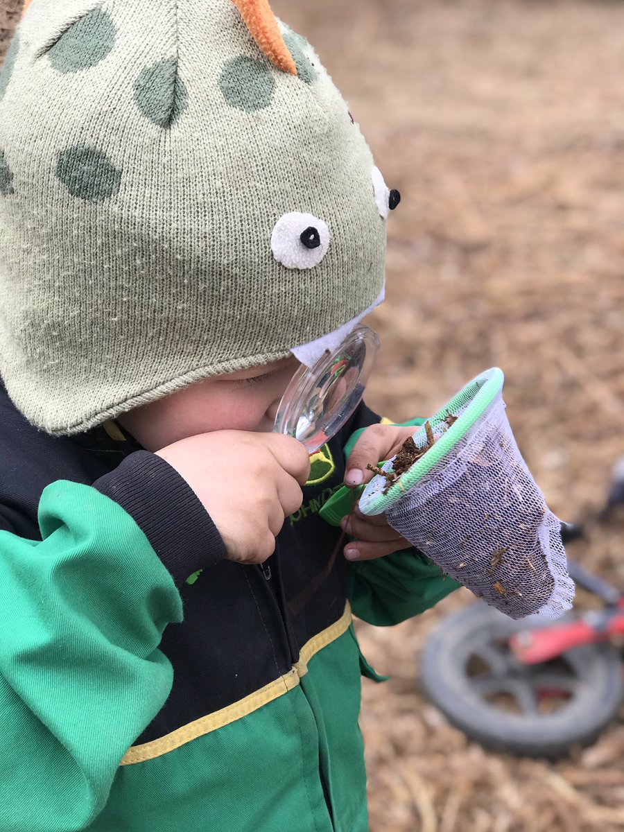 C_Logs's tweet photo. There is so much for all to see & learn about trees in our woodlands so why not try some bug hunting along one of the many #footpaths #nature @WoodlandTrust @OakbankWoodland @ForestryEngland #countrysidelearning @CountryClassrm @NFUCountryside #earlyyears https://t.co/1cIA9ltAKc