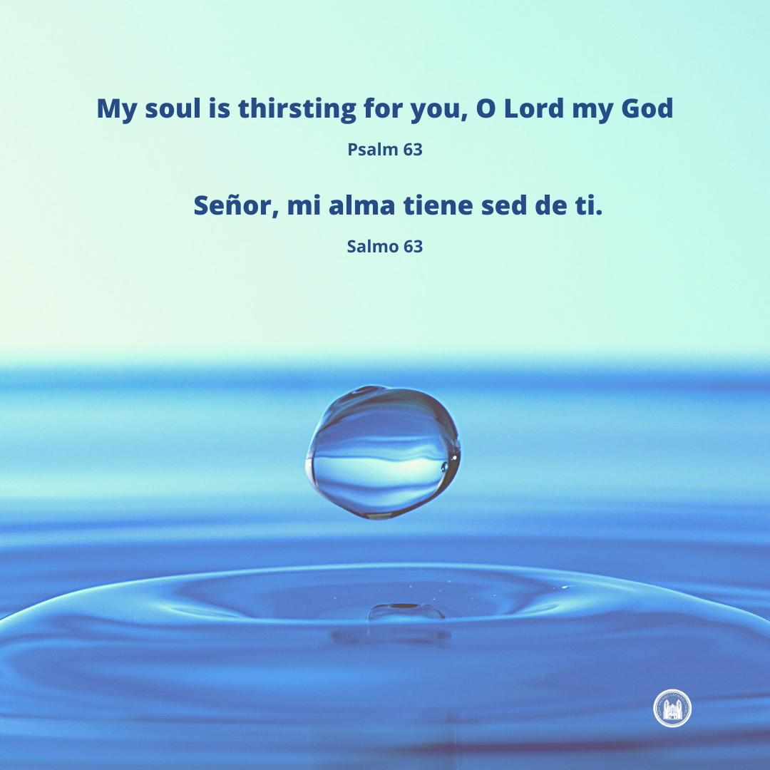 St Michael Livermore tweet media