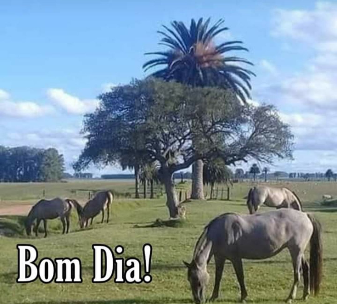tomaz_lt's tweet photo. #Bomdia https://t.co/ufbiT1GVgV