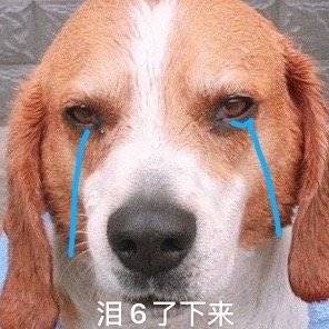 GittiYang's tweet photo. 密码忘了，只能用旧手机登推了 https://t.co/ergWIm9hOa