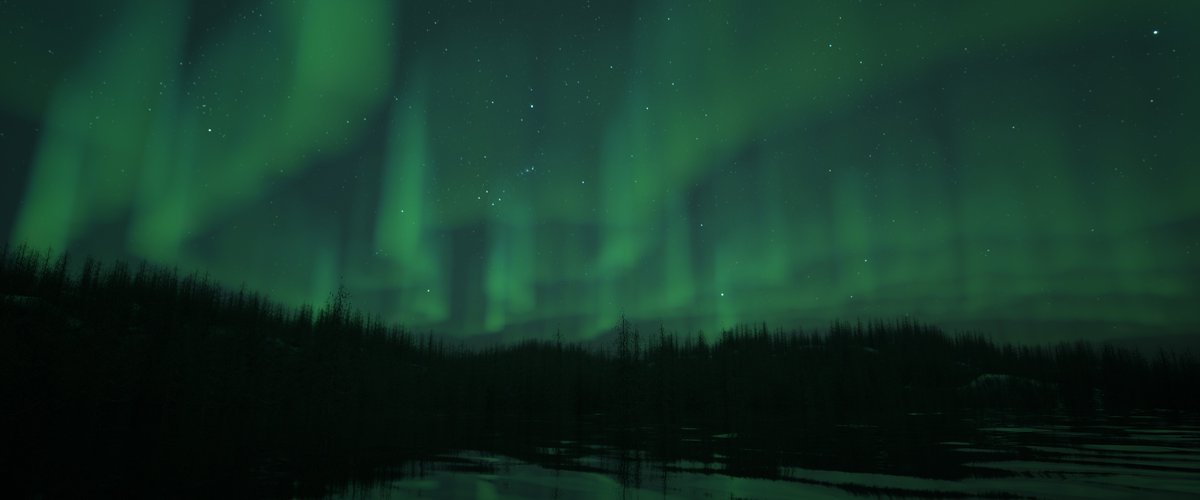 kilbaur's tweet photo. Day 22 of #houly2020 #hlsky - Aurora borealis
Trees are made with @sidefxlabs 
#houdini #procedural #dailychallenge #redshift https://t.co/ndUzLple77