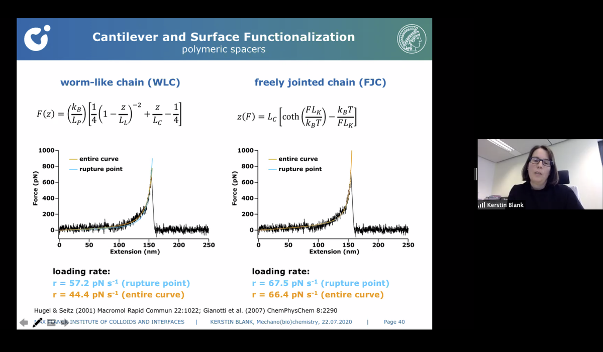 FM4B_Lab's tweet photo. The last day of the #AFMBioMed2020 summer school starts with the lectures by @SingleMolecules on Single molecule force spectroscopy and by Nuno Santos (#notOnTwitter) on AFM for cardiovascular risk assessment. https://t.co/XlY2wZAybD