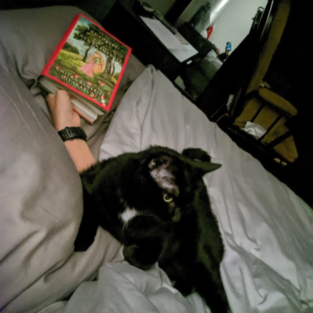 EclecticReadPod's tweet photo. BTS of Susan trying to get her reading in. Unfortunately, a rather large, furry weight settles on her elbow, keeping her from reading. She got through a few pages w/some awkward holding & page turning. #EclecticReaders #AmReading #CurrentRead #CatsAndBooks #ForestOfEnchantments https://t.co/CH6Dy5Rq9t