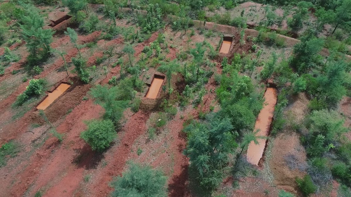 VBGRAMGKAR's tweet photo. #MGNREGS in Karnataka is ensuring that our dwindling natural resources are conserved today & preserved for posterity.
These 250 #trenches dug under the scheme harvests rain water & conserve ecosystem.
Hyaradi Reserve forest, Hadagali Tq, Ballari.
#SMC_works https://t.co/qIGL4LpShG