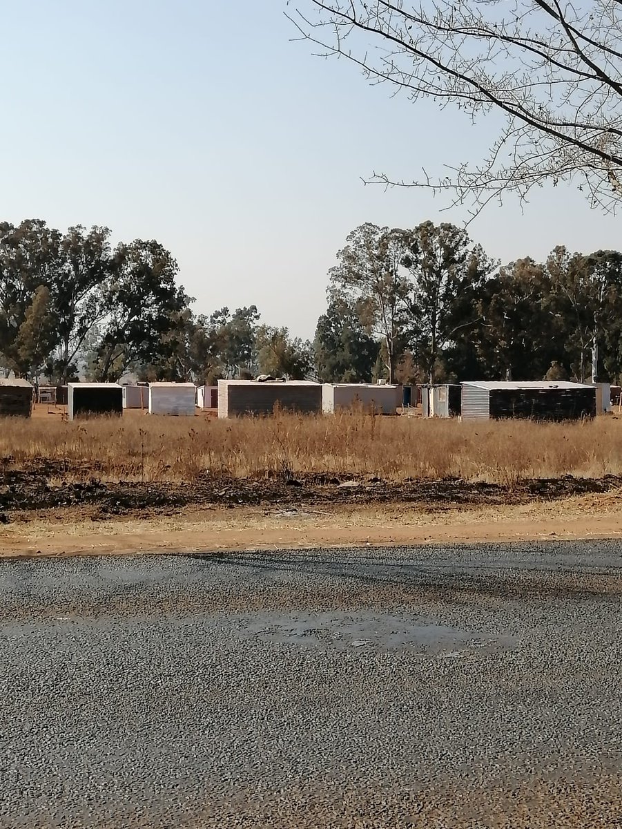 muhsinkolia's tweet photo. @GeoffMakhubo Mr Mayor, Lenasia and surrounding areas have been over run with illegal Land Invasions by criminal elements, pictures from Lenasia Extension 9, Nirvana Drive where open plots have been stolen and sold off... Please we request urgently your intervention and help. https://t.co/Tp1pjujpDV