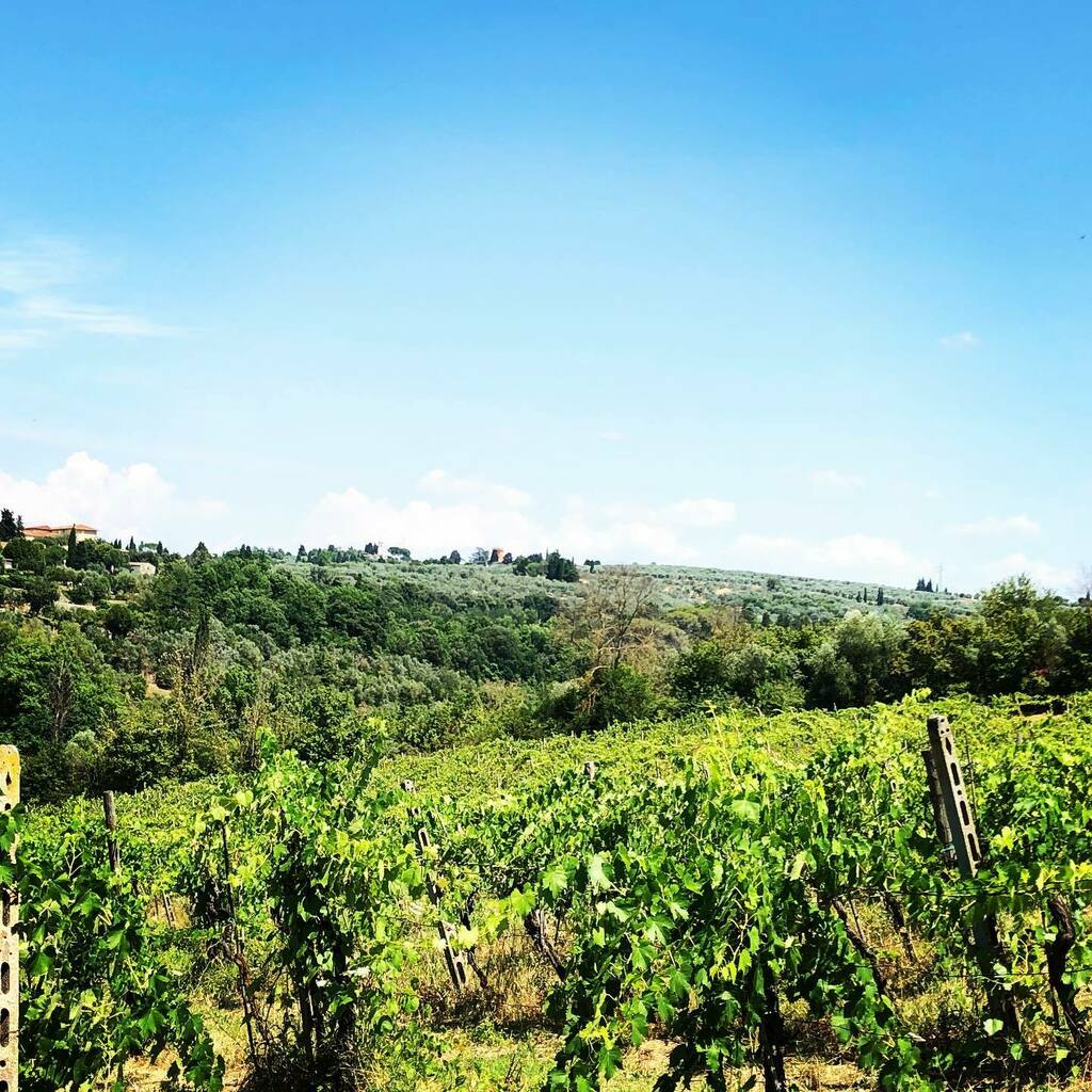 Eu個人輸入コンシェルジュ イタリア Personal Import Twitter