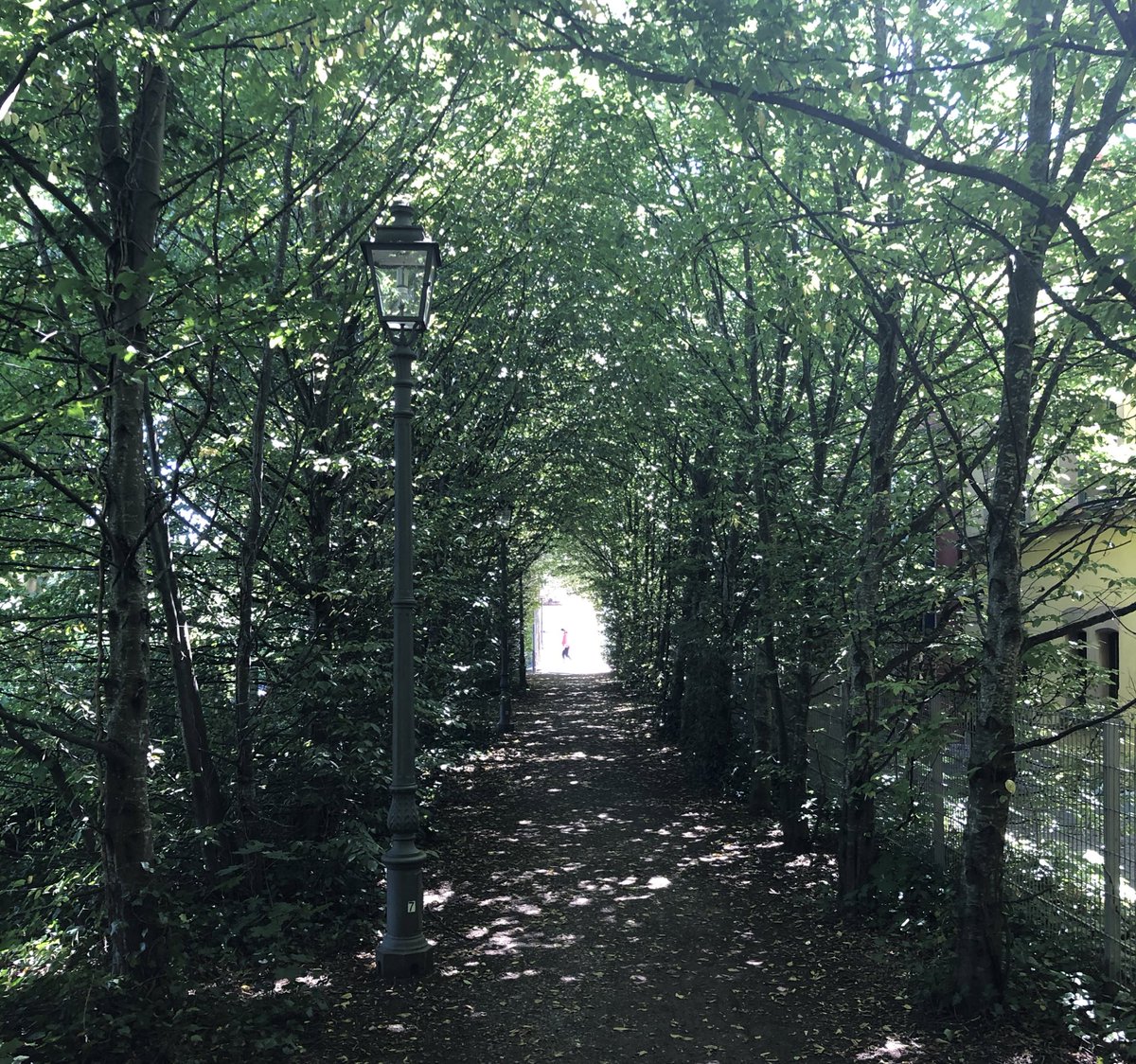 oherbstde's tweet photo. #ShadySummer #Ansbach #BeautifulAnsbach https://t.co/tQEmhENRwM