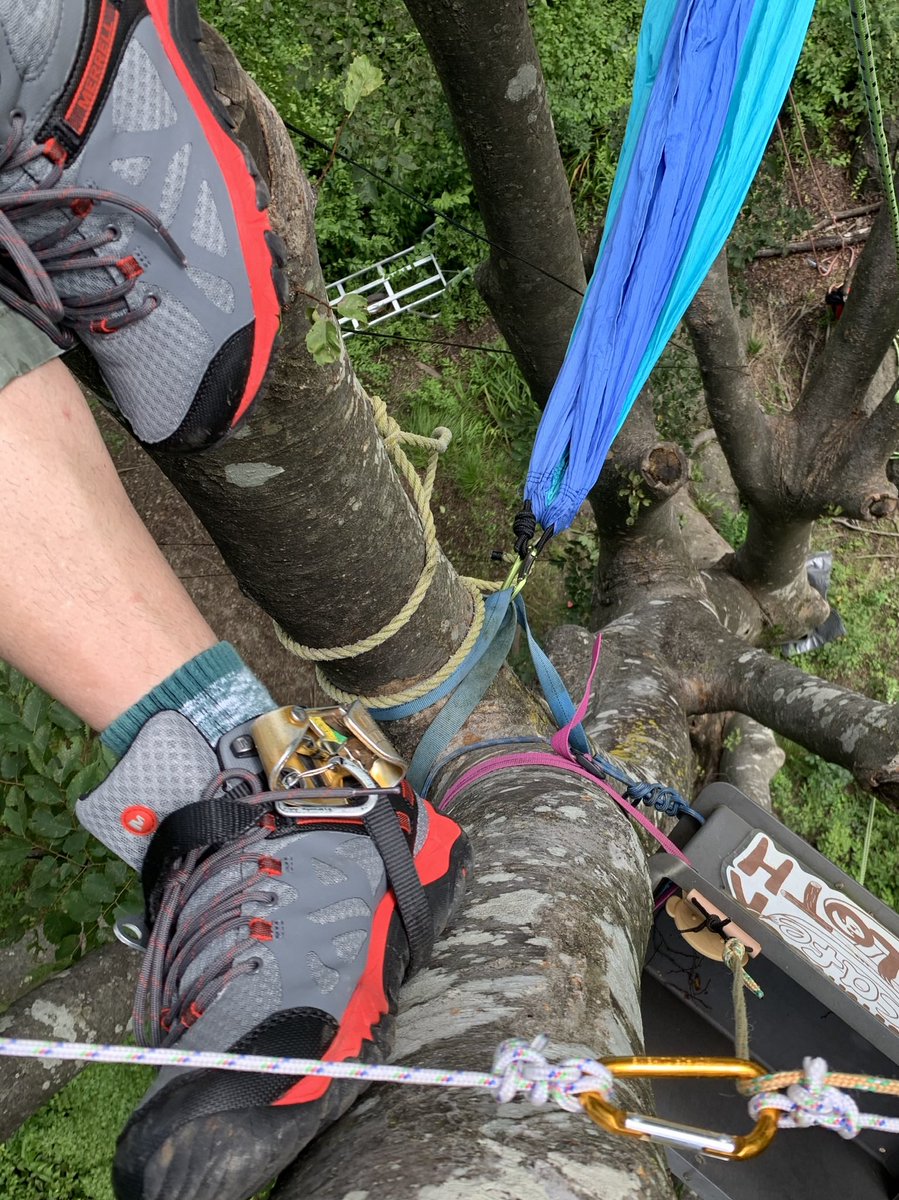 _MonkeyMountain's tweet image. おニューの靴ついにおろしました☆
赤いラインかっこいいな！
#メレル #merrel #地上10mのハンモックカフェ #treeing #ツリーイング
#木のぼりツアー #アウトドア #提供してもらえるメーカーさんよろしくお願いします