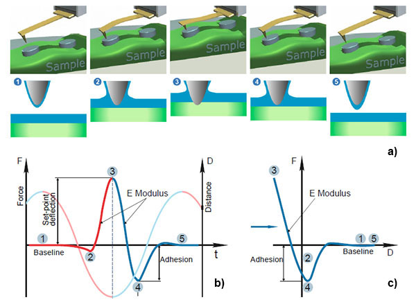 NTMDT's tweet photo. AppNote 098 HybriD Piezoresponse Force Microscopy: a Novel AFM Mode for Nondestructive and Simultaneous Study of Different Electromechanical Properties
https://t.co/trWz6u159I
.
.
#NTMDT #HDPFM #PFM #HybriD #NTEGRA #NEXT #AppNote #НТМДТ #Интегра #НЕКСТ #microscopy #Гибрид https://t.co/IQWLRLflLu