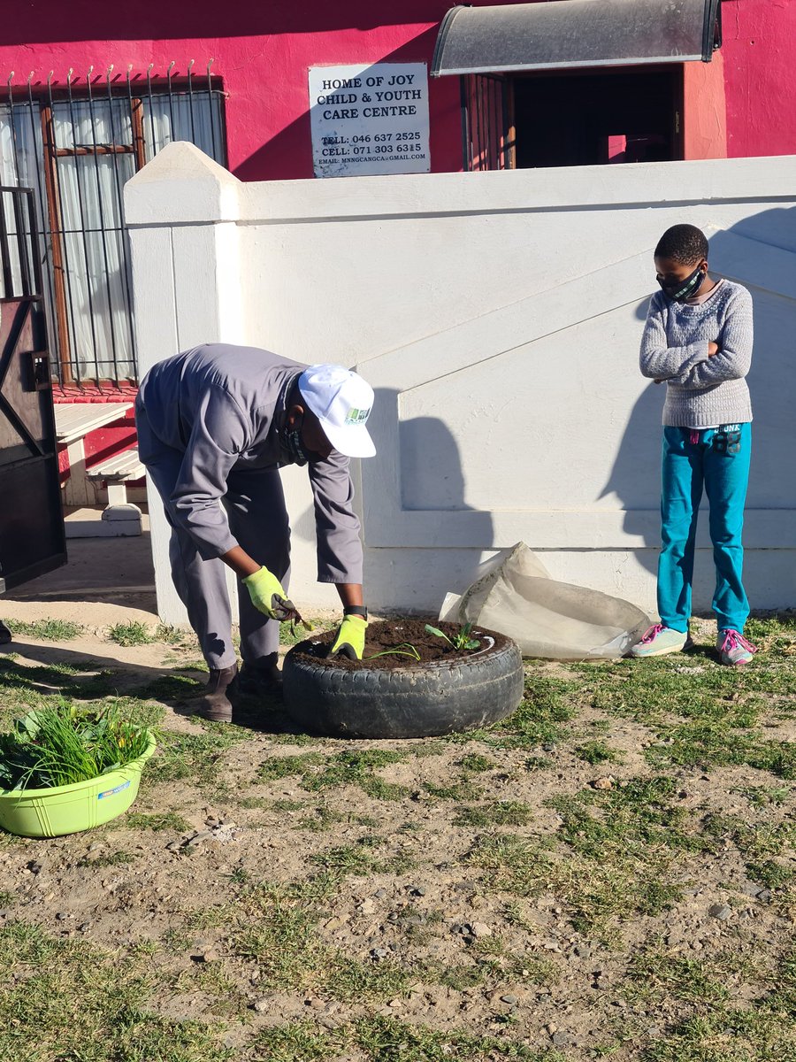 UmthathiP's tweet photo. Demonstrating that there's no excuse for not growing your own vegetables. #NelsonMandela with the support of @fastenopfer . In collaboration @MakhandaUnity #foodsecurity https://t.co/Dekcd9juxS