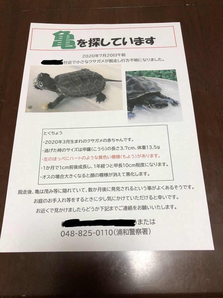 まなみ日記 Kamemanami Twitter