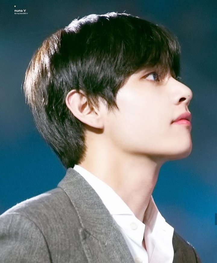 Taehyung's side profile appreciation - a breathtaking thread.