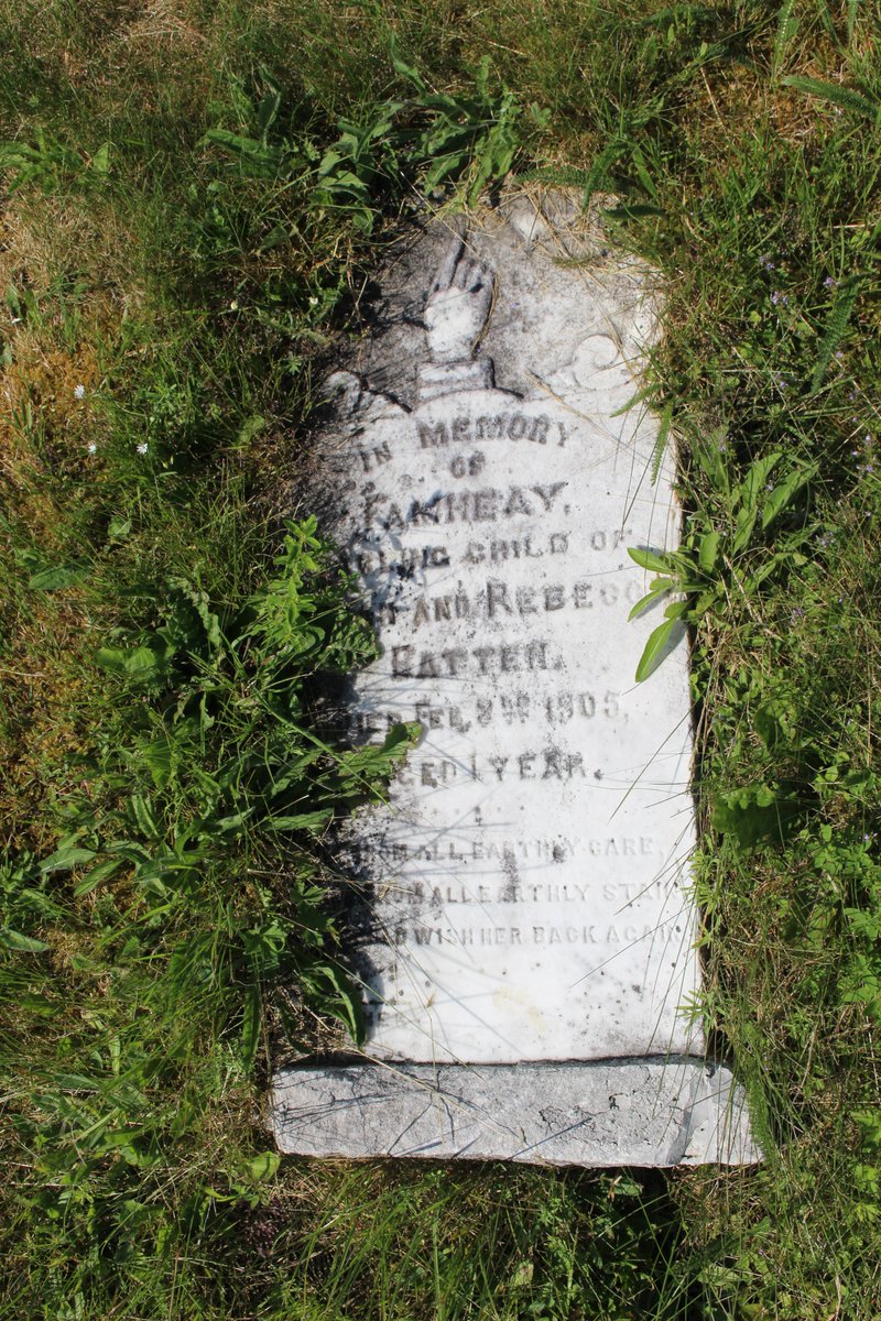 Keep the headstone information visible. Clear away grass clippings or hold living plants aside while you take the photo.