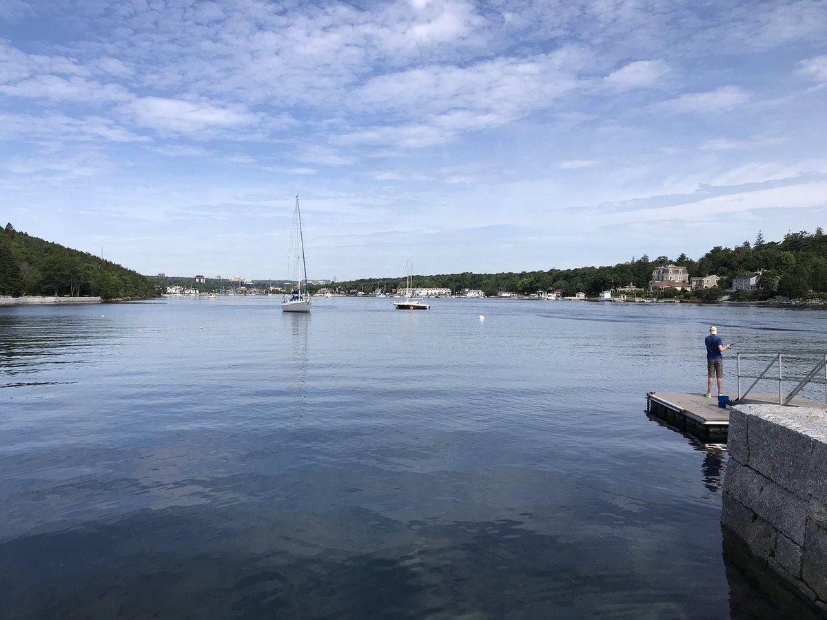 MattWhitman2020's tweet photo. Next stop Flemming Park. #DingleTower #HRM #Whitman2020 https://t.co/vKA8INghyT
