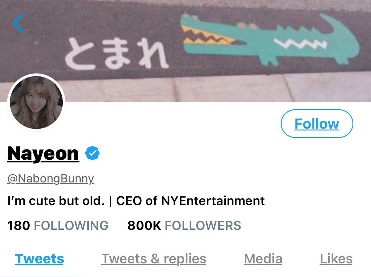 Im Nayeon-1st of the most wealthy amongst her friends-CEO of NYEntertainment-easy to fall especially if they are pretty or handsome.-afraid of commitment-met Jeongyeon in 4th year in highschool-has an alcoholic problem