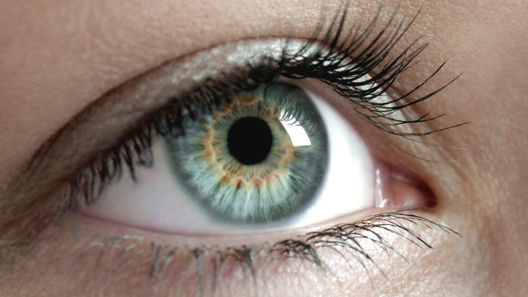 FB_Canada's tweet photo. Gene Therapy Achieves Sustained Beneficial Visual and Safety Outcomes for Treating LHON Over 3 Year Period https://t.co/DU80PFQULk via @RetinaInt

#LHON #genetherapy #research #visionhealth #blindness https://t.co/8kvOCm5PgO