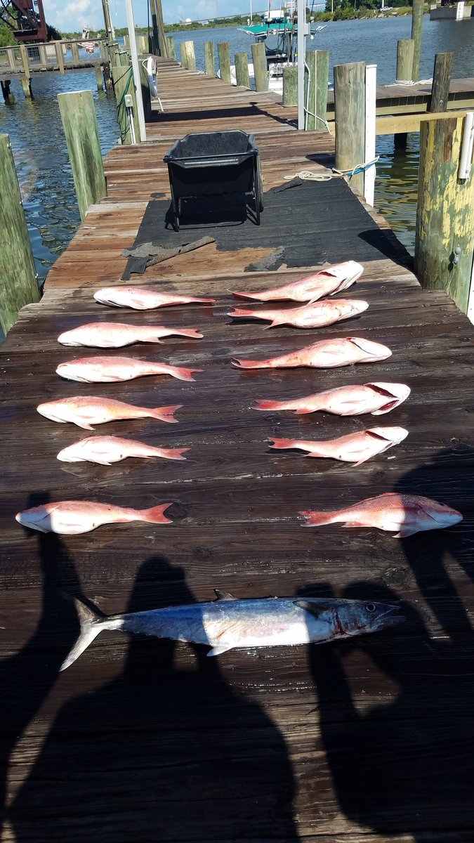 Truckonthebayou's tweet photo. Great day of fishing with @curbsidekaty on board #cowboycharters #Freeportfishing. https://t.co/uvT2AP0K7t