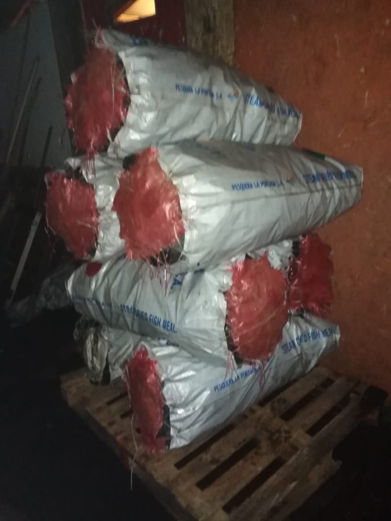 ChillanSumemos's tweet photo. Tremenda Donación en Sacos de Carbón. Que irá en Beneficio al Campamento Ubicado en la Población Luis Cruz Martínez de Chillán. Y Tú quieres ser Parte de esta Cadena de Colaboración. Visita nuestra Web https://t.co/wugrS6mauI https://t.co/l1aN4XYJsU