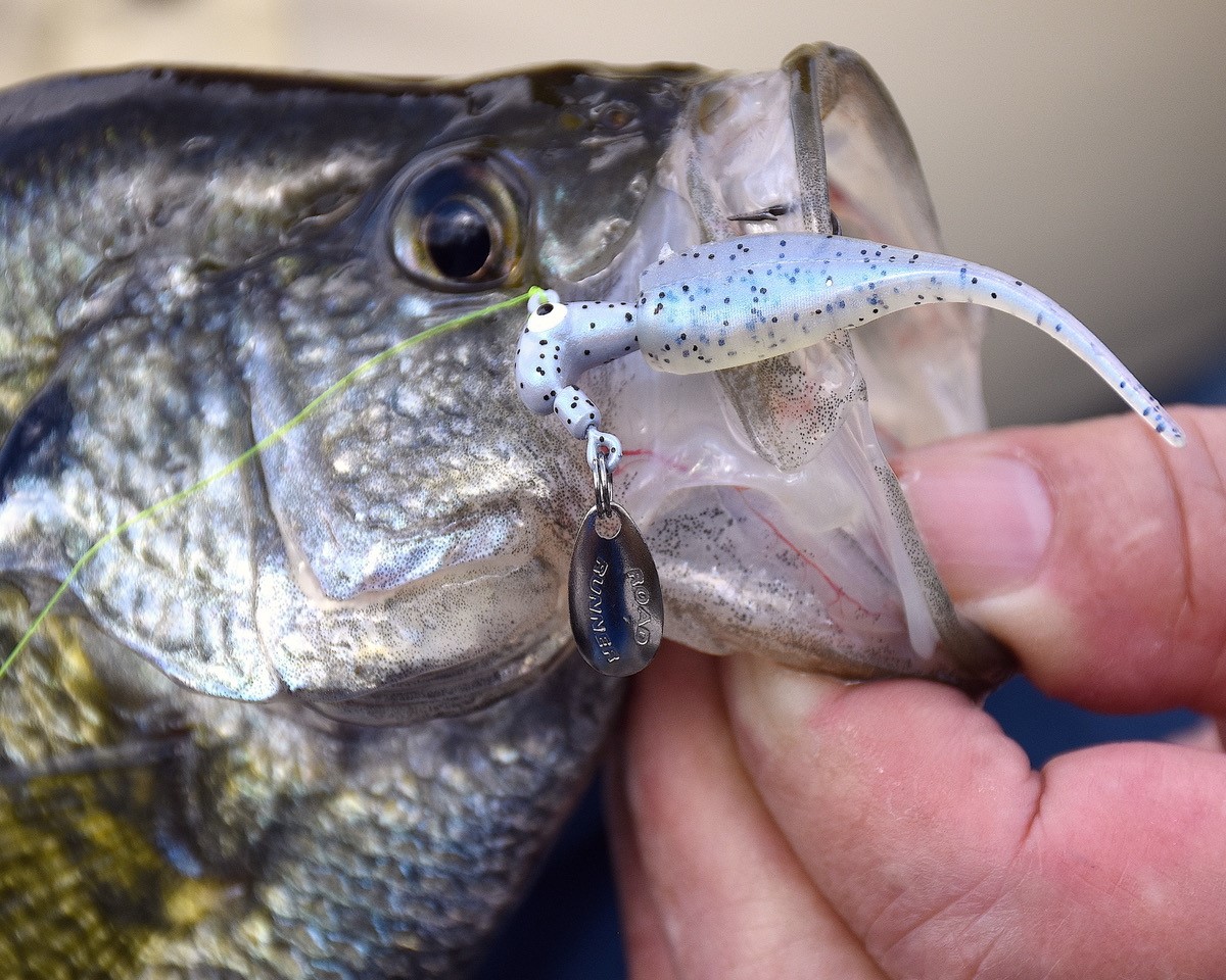 The Monkey Milk Slab Runner is HOT! Bobby Garland Baby Shad teamed up with a Road Runner head is unstoppable!
