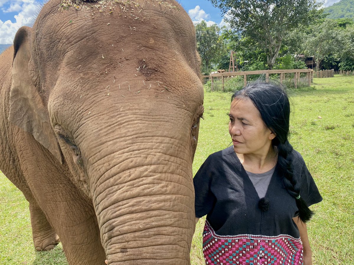 flo18flo's tweet photo. Meet @lek_chailert, owner of @ElephantNatureP and founder of „Save Elephant Foundation“! The animal welfarist from #Thailand has dedicated her life to protecting #elephants in Asia. @dw_environment #GIreporter https://t.co/d1weuqRTFN