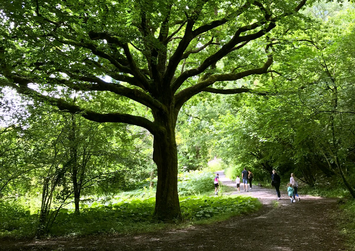 Have open and green spaces become more or less important to you during lock down? Valleys Regional Park green and open space survey: bit.ly/30ydrMT